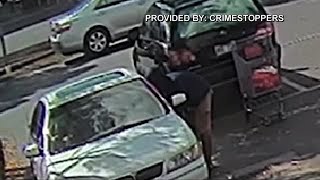 Marukai surveillance Courtesy HPD CrimeStoppers