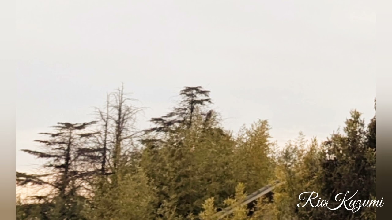 互いに寄り添い