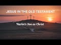 Harlot's Son: Jesus In The Old Testament