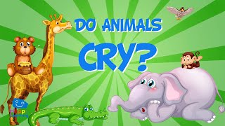 Do Animals Cry? | Educational Videos for Kids