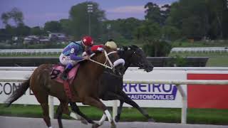 Vidéo de la course PMU PRIX MIO MONDO (2021)