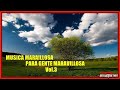 Musica maravillosa para gente maravillosa  Vol.3