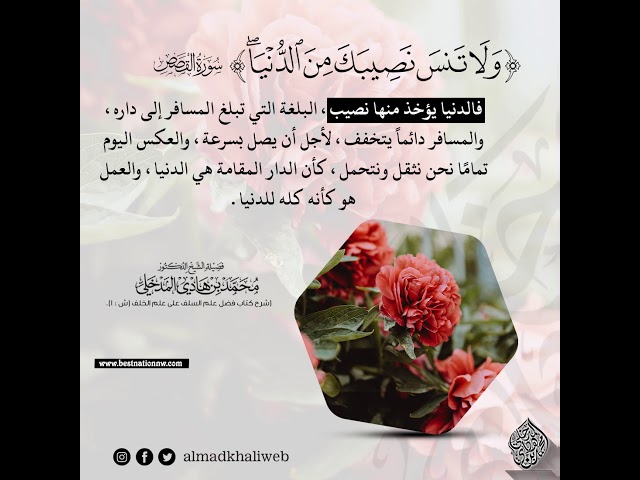 فالدنيا يؤخذ منها نصيب البلغة التي تبلغ المسافر إلى داره - الشيخ د. محمد بن هادي المدخلي