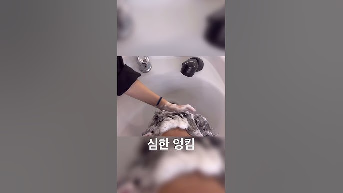 사촌여동생 똥쌀때 특징 