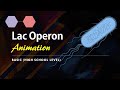 Lac operon basic animation  gene regulation in prokaryotes