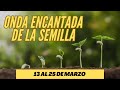 🔴Descubre la Magia de la Onda Encantada de la Semilla: Un Viaje para Florecer