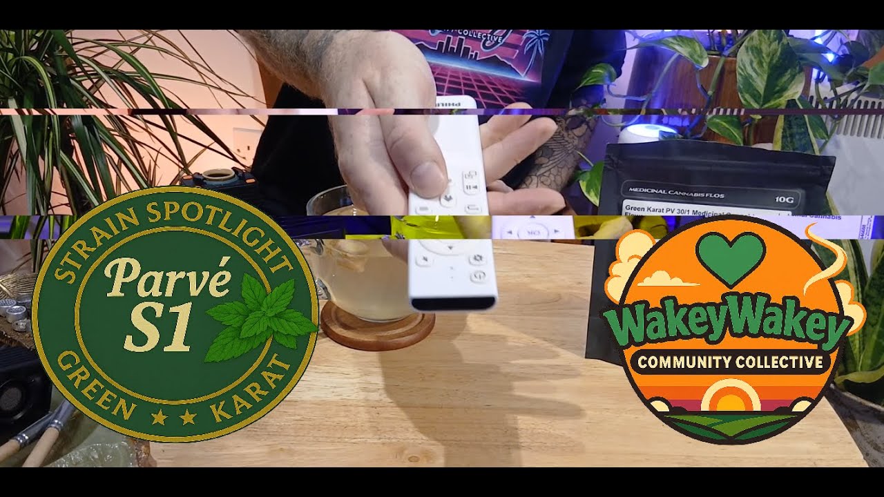 Minty Parisian Funk 🌿 | Green Karat Parve S1 + Venty Terp Breakdown (UK Medical)