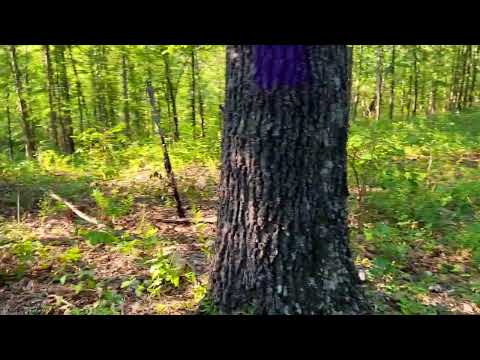 Video Ground Trail Across WZ05 Done