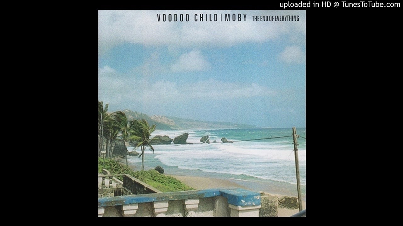Voodoo Child (Moby) - Honest Love