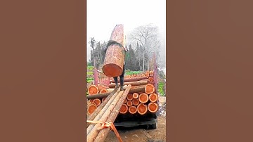 Loading Logs onto a Truck–Incredible Strength and Precision in Action