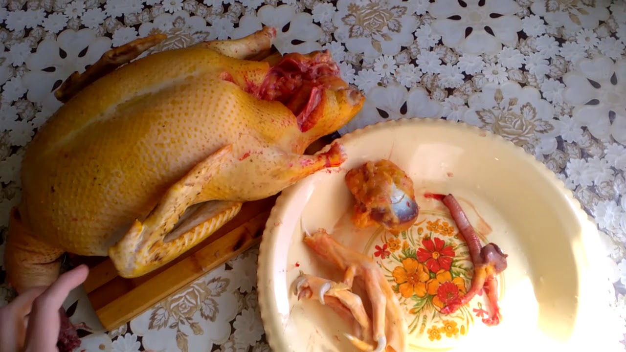 Утка подавилась камнем