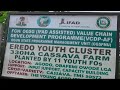 Fgnifad rate vcdpaf implementation high in ogun state