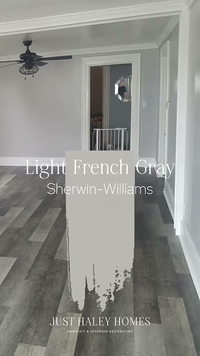 🚫DO NOT sample these paint colors if you have gray wood floors