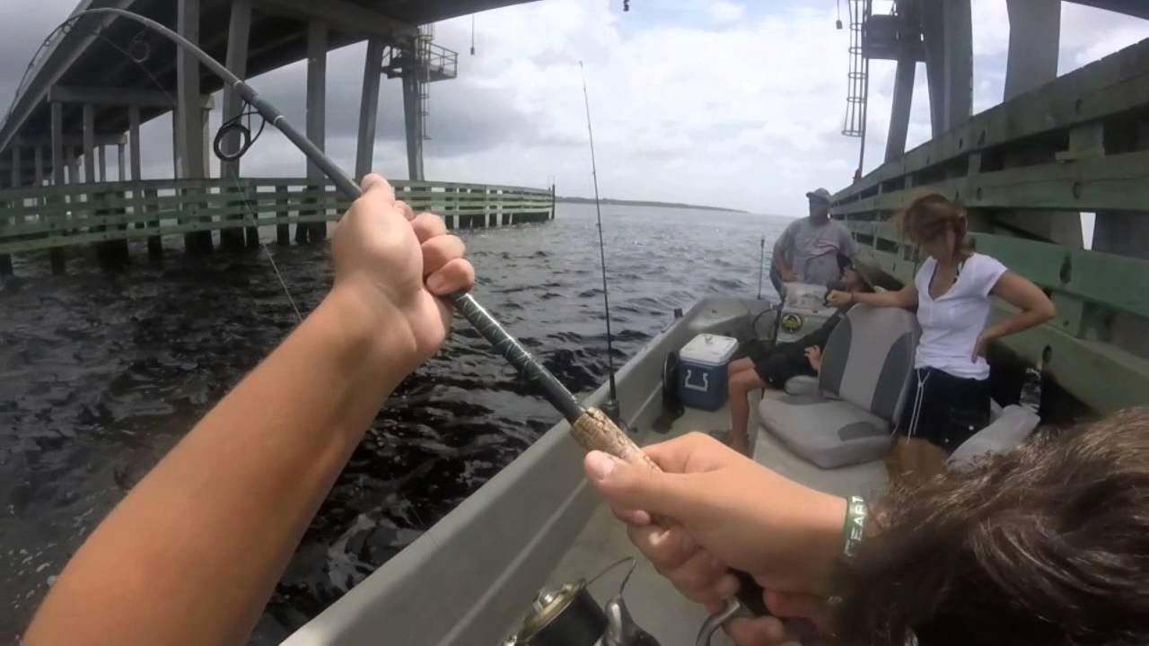 GoPro Alligator Point Charter Fishing YouTube