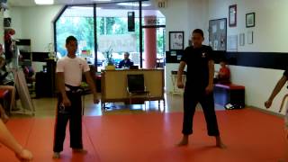 Famous Week Three High Block reverse punch in Front Stance Wealth