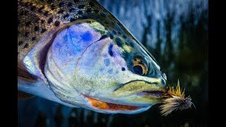 Fishing Report September 14th, 2018 | Ashland Fly Shop