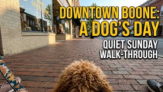 Goldendoodle POV Exploring King Street: Downtown Boone NC Walking Tour