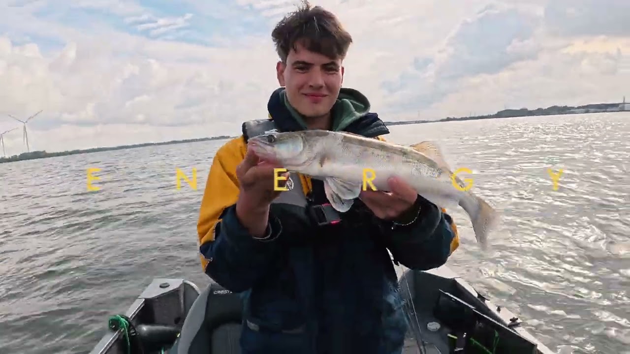 Zander von Hollands Diep