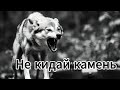 Garik Garlik Камень не кидай