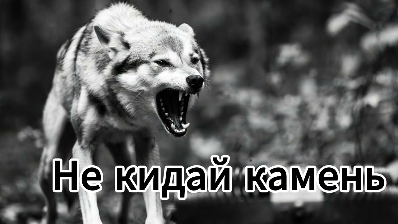 Garik.Камень не кидай