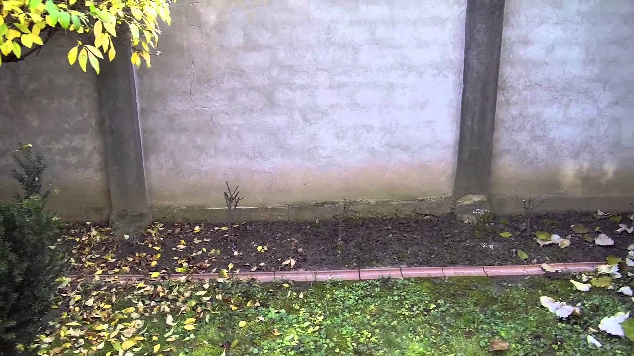 T-Motor MT2216 v2 800KV First Run