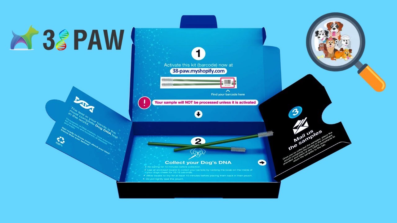Dog DNA Test - How To Take 38 Paw Dog DNA Test? - YouTube