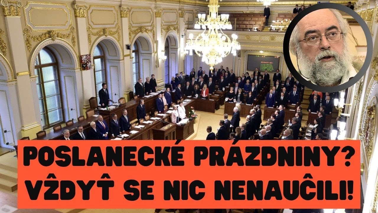 J. Schneider: Fialova vláda představuje bezpečnostní i existenční riziko pro republiku