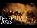 Empire of the Ants / Ryzen 5 4500 / gtx 1660 Super / Gameplay