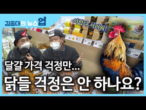 &amp;quot;조류독감에 <strong>달걀</strong> <strong>가격</strong> 걱정만...닭들 걱정은 안 하나요?&amp;quot;
