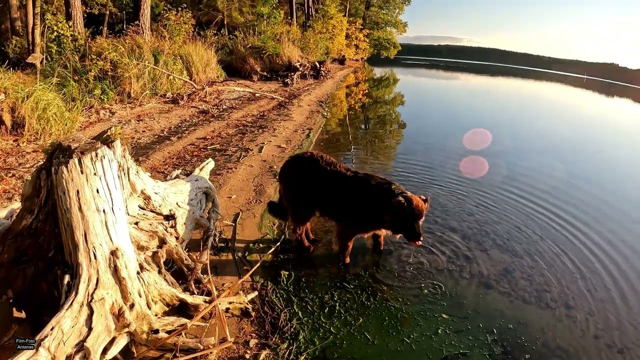 Vištyčio ežeras, Виштынецкое озеро, Wystiter See, Wyschtyter See