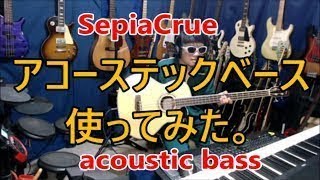 第25回目 オオバの部屋 アコーステックベースを使ってみた