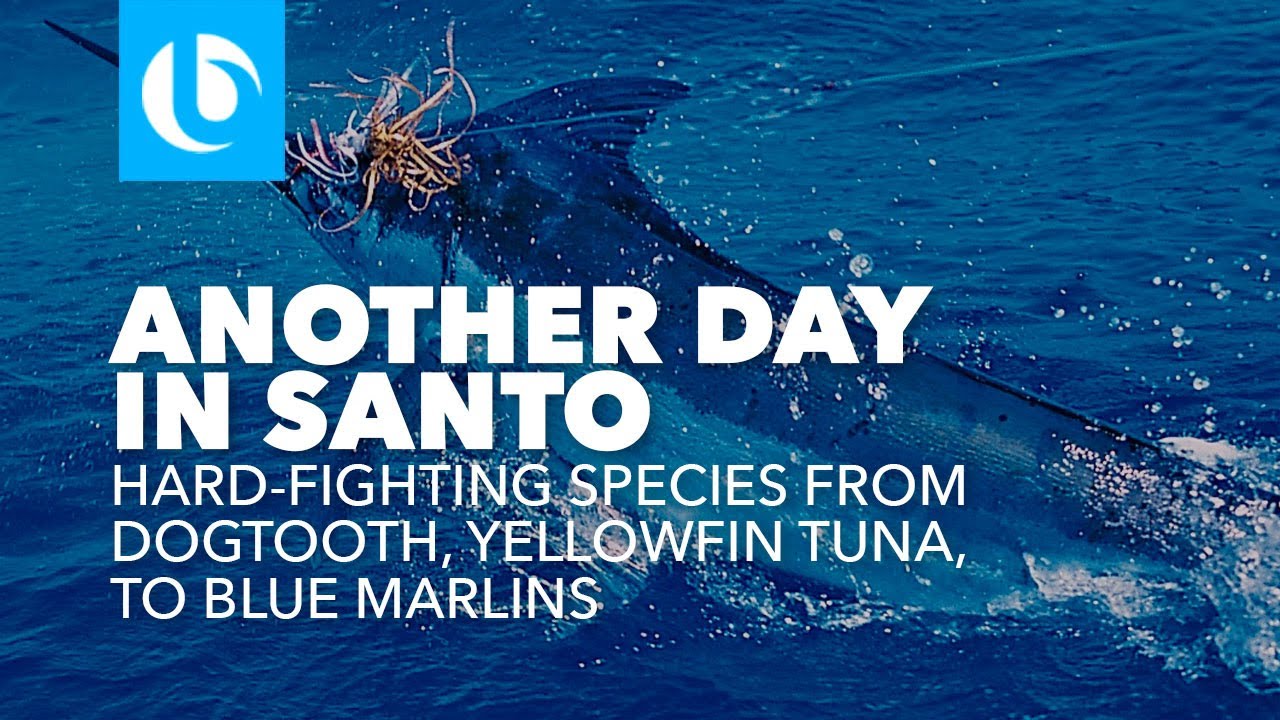 Another Day In Santo Vanuatu Game Fishing and Vertical Jigging YouTube