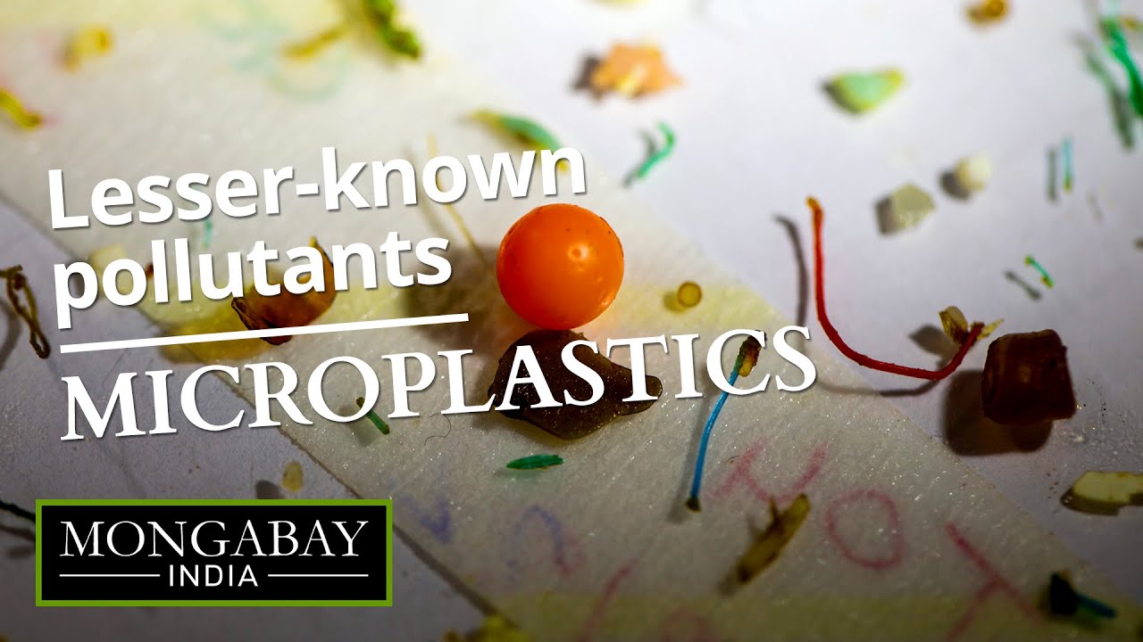 Living with microplastics | Lesser-known pollutants