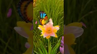 İşte Gerçek Müslüman Çocuk