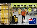 Cómo es TRABAJAR en una PACKHOUSE de KIWIS en  Nueva Zelanda -Working Holiday-SSE 🥝