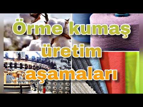 Video: Folisma Bitkileri Hakkında Bilgi - Sandfood Nedir ve Sandfood Nerede Yetişir