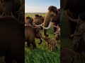 When Humans and Mammoths Lived in Harmony | A Prehistoric Friendship