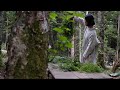 my way of connecting with nature // 針葉樹の葉をたばねる