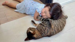 生まれてからずっと一緒の2歳児と猫のやりとりがこちらです...。
