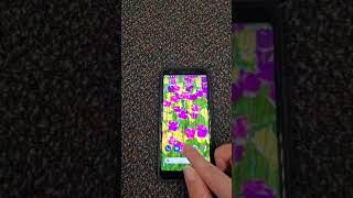 How to get into SeeSaw w QR Code on Mobile Phone
