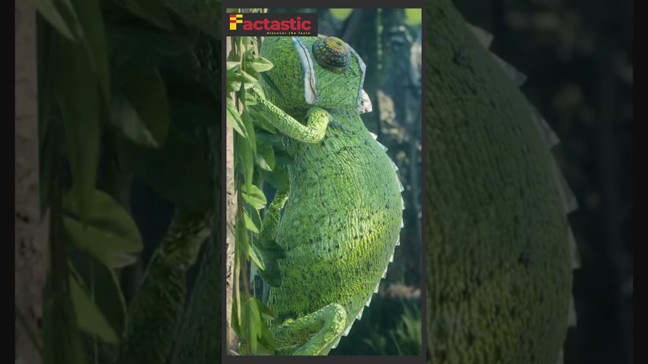 10 Mind Blowing Facts