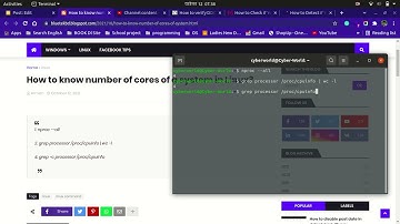 How to know number of processor in linux | BlueTek