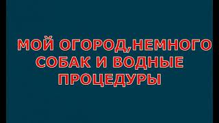 Когда любишь землю сделаешь все что угодно)))#Новоевидео#Россия#Дальнийвостоксад#огород