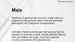 Male Meaning