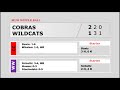 Cobras vs. Wildcats Semifinal | MLW Wiffle Ball