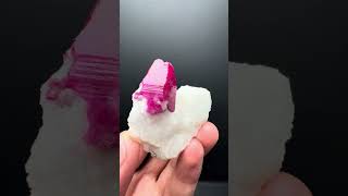 Ruby on Matrix from Pakistan | Fine Art Minerals | Ruby |