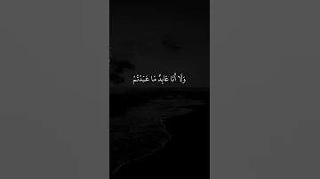 سورة الكافرون بلال دربالي 