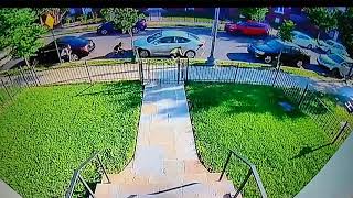 Chicago Shooting Caught On Camera 2020