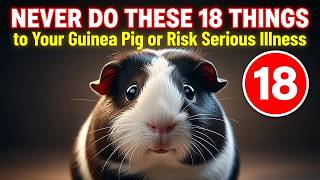 Never Do These 18 Things to Your Guinea Pig or Risk Serious Illness