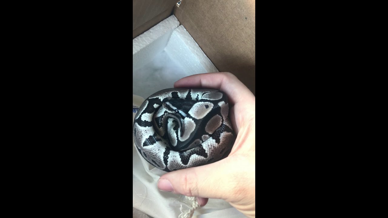 hobby lobby jobs The unboxing from Hell part one